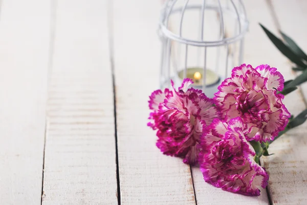 Vykort med eleganta nejlikor blommor — Stockfoto