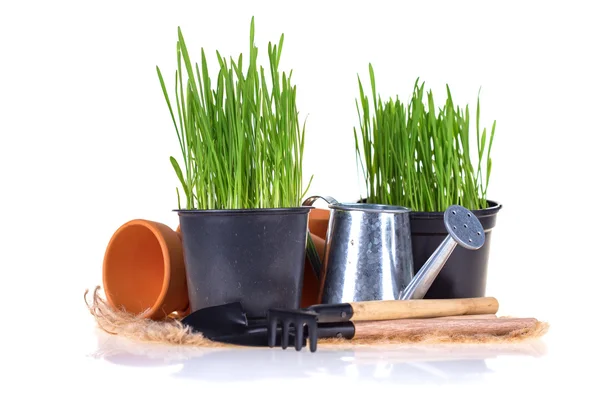 Green grass and garden tools — Stock Photo, Image