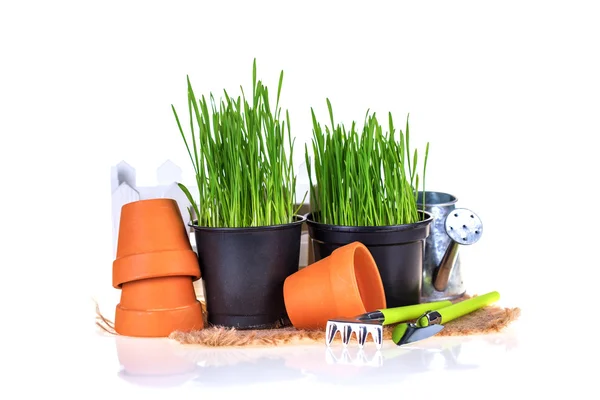 Groen gras en tuingereedschap — Stockfoto