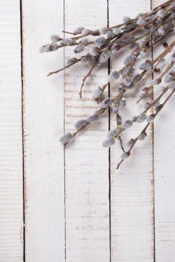 Söğüt dalları ahşap arka plan üzerinde