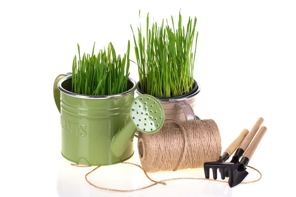 Zielona trawa i narzędzia ogrodowe — Zdjęcie stockowe