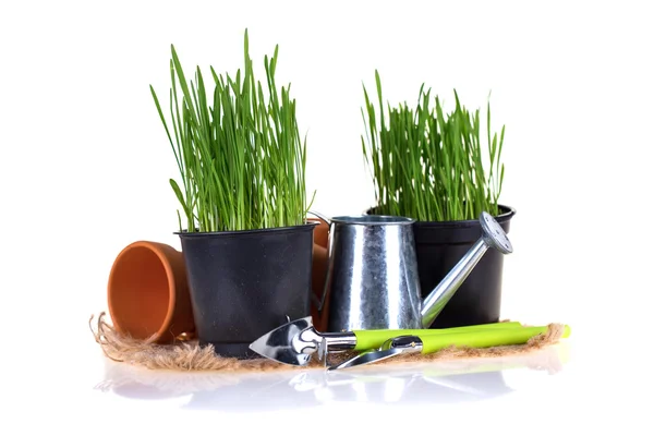 Green grass and garden tools — Stock Photo, Image