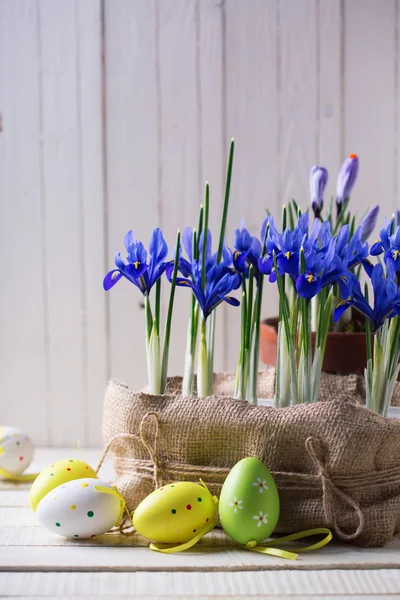 Huevos de Pascua y flores. —  Fotos de Stock