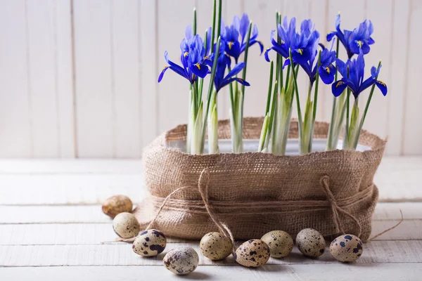 Huevos de Pascua y flores. —  Fotos de Stock