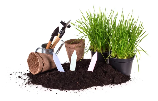 Trawa w doniczkach, ziemi i narzędzia ogrodowe — Zdjęcie stockowe