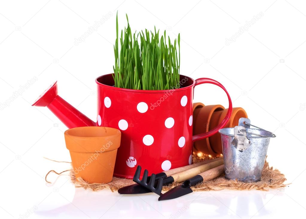 Garden tools, pots and grass in watering can