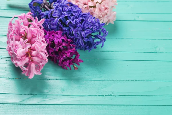 Fondo con fiori freschi giacinti — Foto Stock