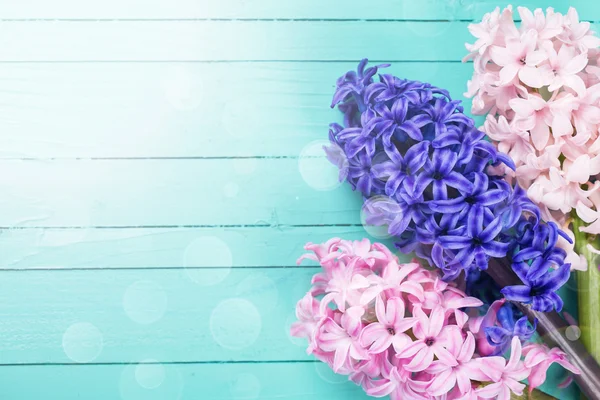 Postcard with fresh spring flowers hyacinths — Stock Photo, Image