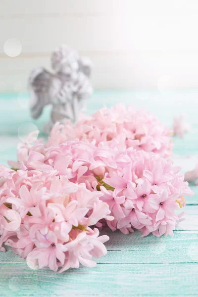 Kartpostal ile taze çiçekler hyacynths — Stok fotoğraf