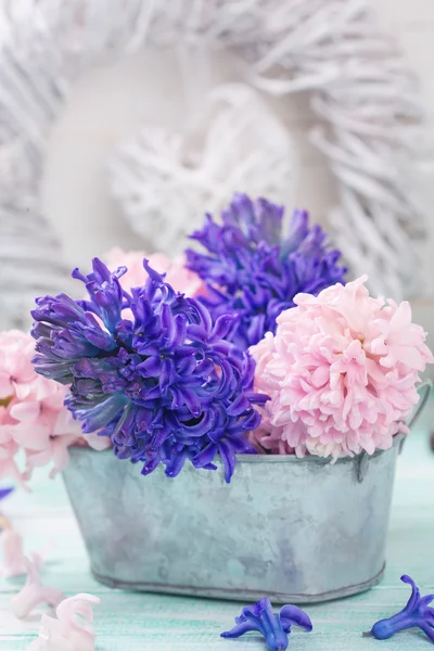 Открытка со свежими цветами гиацинтов — стоковое фото