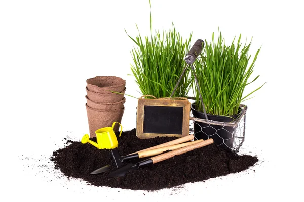 Grass in pots, ground  and garden tools — Stock Photo, Image