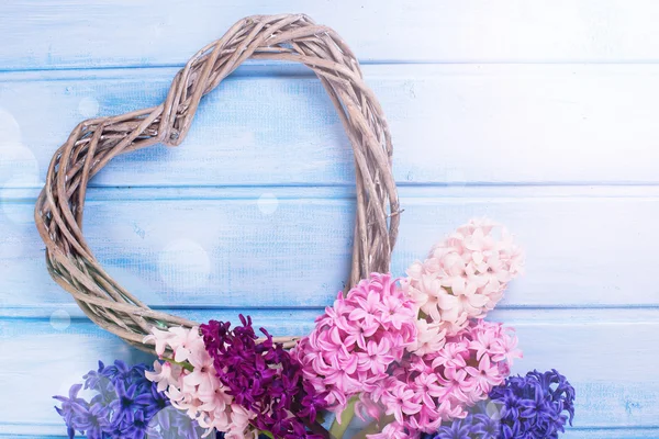 Postkarte mit Blumen-Hyazinthen und dekorativem Herzen — Stockfoto