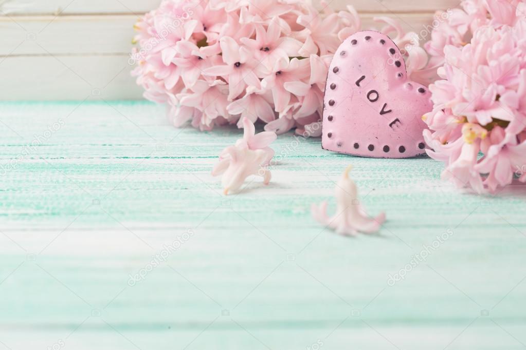 Background with flowers hyacinths and decorative heart