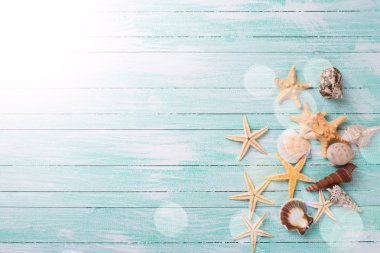 ahşap zemin üzerinde deniz öğeler. 