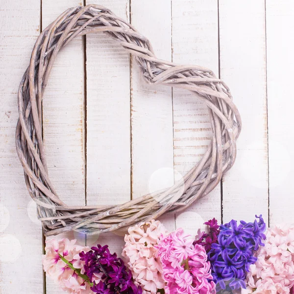 Fondo con jacintos de flores frescas — Foto de Stock