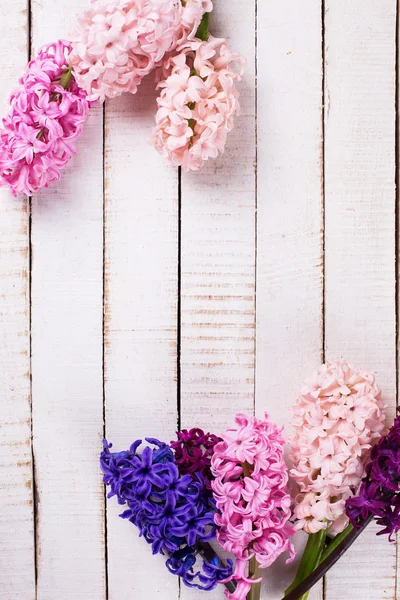 Ansichtkaart met verse bloemen hyacinten — Stockfoto