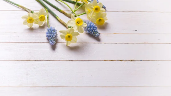 Ansichtkaart met bloemen narcissen en muscaries — Stockfoto