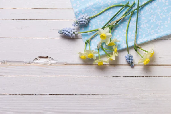 Cartão postal com flores narcisos e muscarias — Fotografia de Stock
