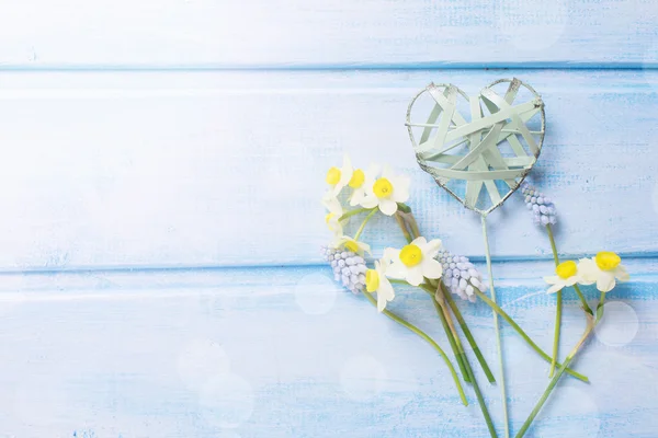 Blumen Narzissen, Muskarien und dekorative Herzen — Stockfoto