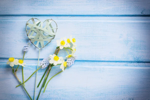 Blumen Narzissen, Muskarien und dekorative Herzen — Stockfoto