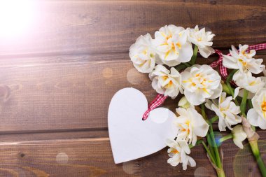 Taze nergis ve kalp ile arka plan