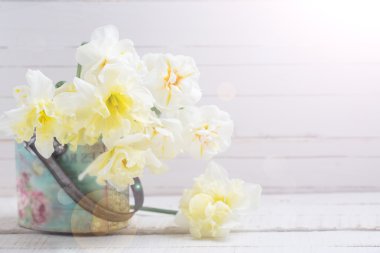 Demet taze nergis ile arka plan