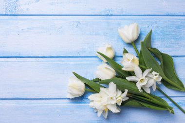 Kartpostal taze nergis ve laleler