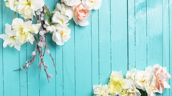 Baggrund med friske påskeliljer og pileblomster - Stock-foto