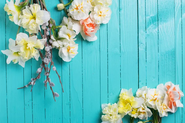 Baggrund med friske påskeliljer og pileblomster - Stock-foto