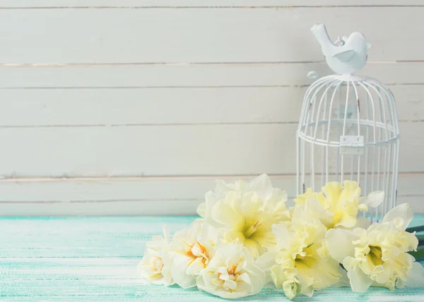 Background with fresh daffodils and bird cage