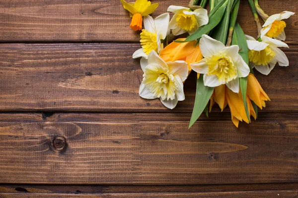 Hintergrund mit frischen Narzissen und Tulpen — Stockfoto