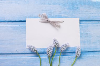 Taze muscaries ve etiket ile arka plan 