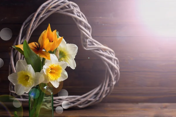 Verse tulpen, narcissen en decoratieve hart — Stockfoto