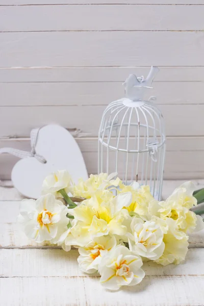 Background with fresh daffodils — Stock Photo, Image