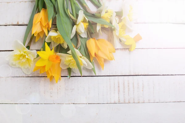 Tło z świeżych tulipanów i narcyzów — Zdjęcie stockowe