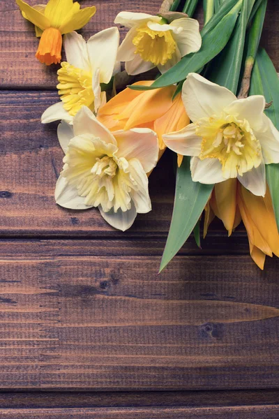 Pozadí s čerstvým narcisy a tulipány — Stock fotografie