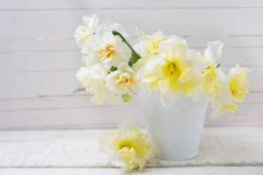 Arka plan ile taze nergis