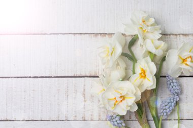 taze nergis ve muscaries arka plan