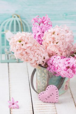 Arka plan ile taze çiçekler sümbül