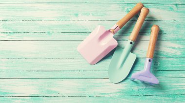 Çocuklar Bahçe aletleri