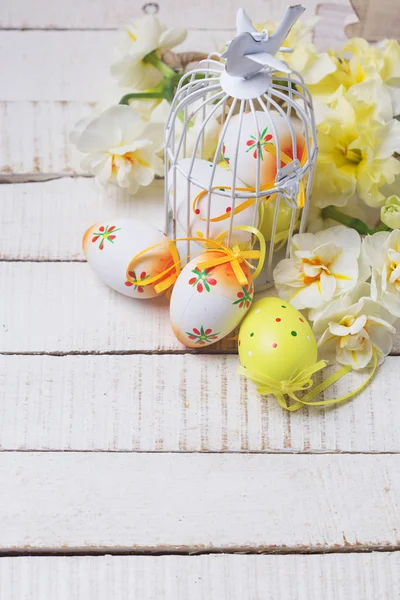 Bunte Ostereier und Narzissenblüten — Stockfoto