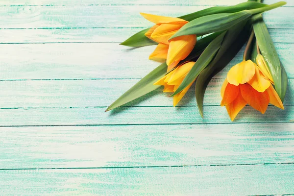 Background with fresh tulips — Stock Photo, Image