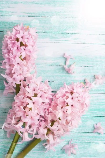 Фон со свежими цветами гиацинты — стоковое фото