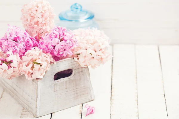 Bakgrund med färska blommor hyacinter — Stockfoto