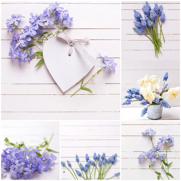 Blue flowers and decorative heart — Stock Photo, Image