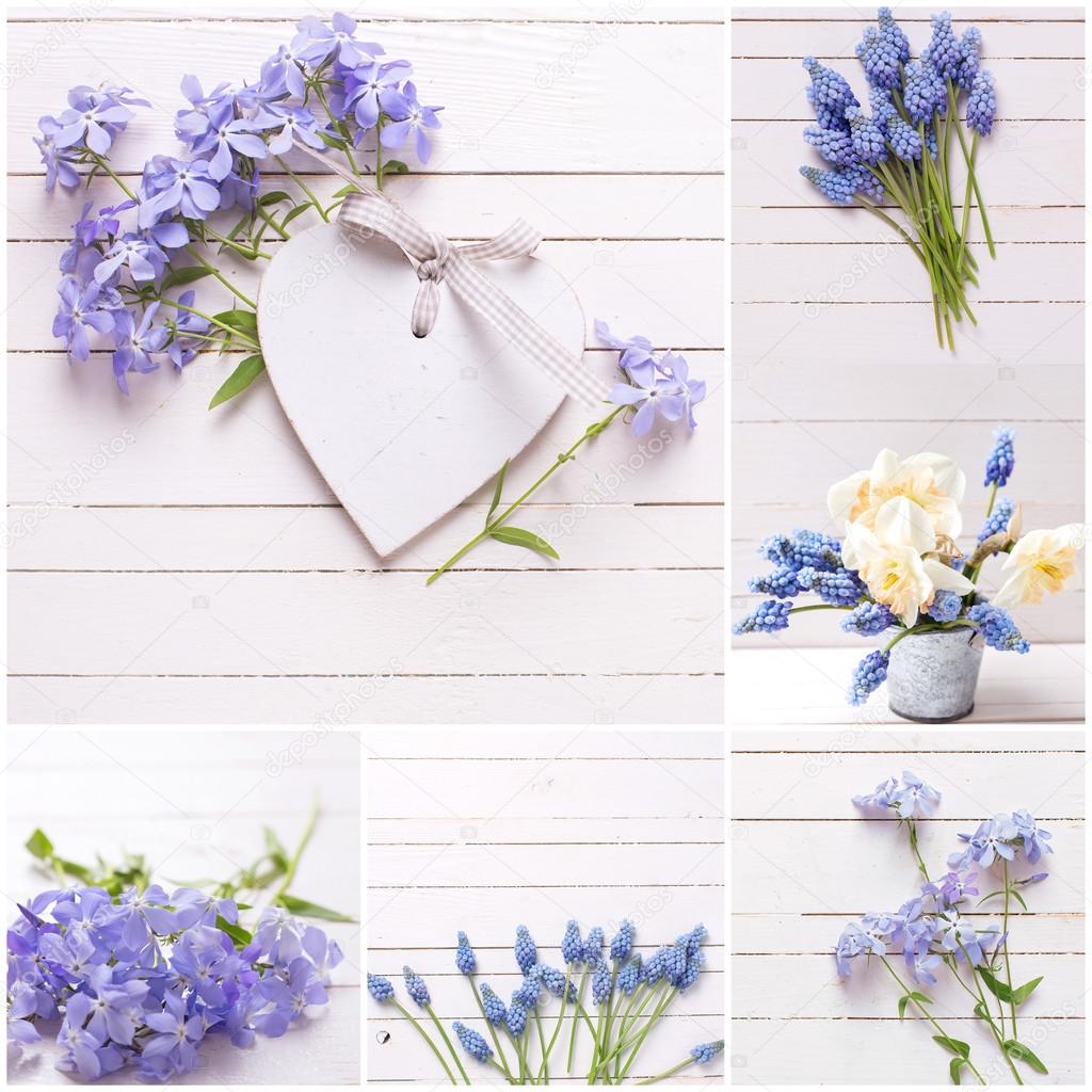 blue flowers and decorative heart
