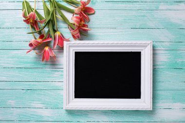 Arka plan ile taze laleler ve yazı tahtası