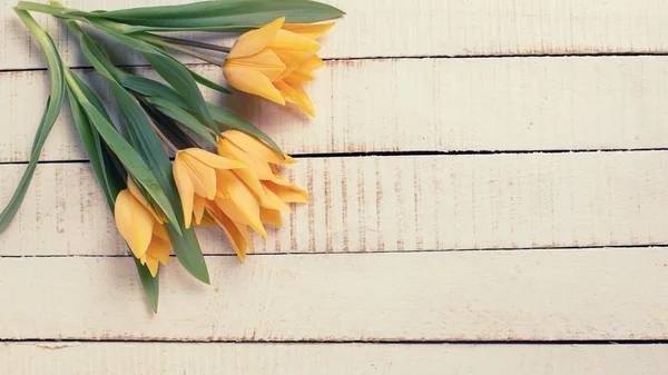 Фон со свежими тюльпанами — стоковое фото