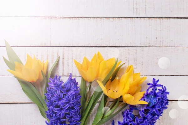 Background with fresh tulips and hyacinths — Stock Photo, Image