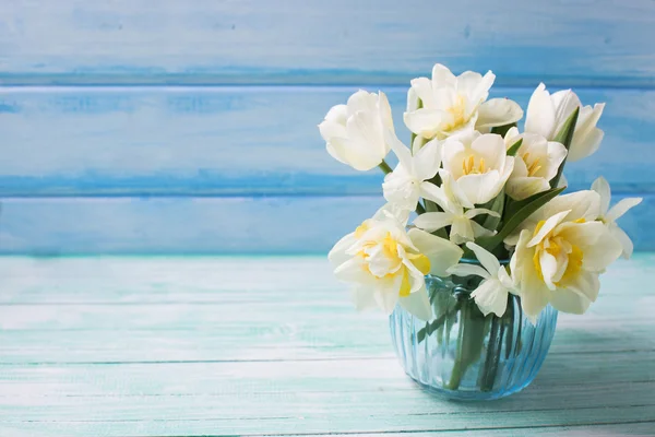 Achtergrond met narcissus en tulpen — Stockfoto